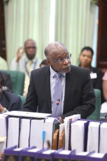 Vice President and Minister of Foreign Affairs, the Honourable Carl B. Greenidge (Source: DPI)