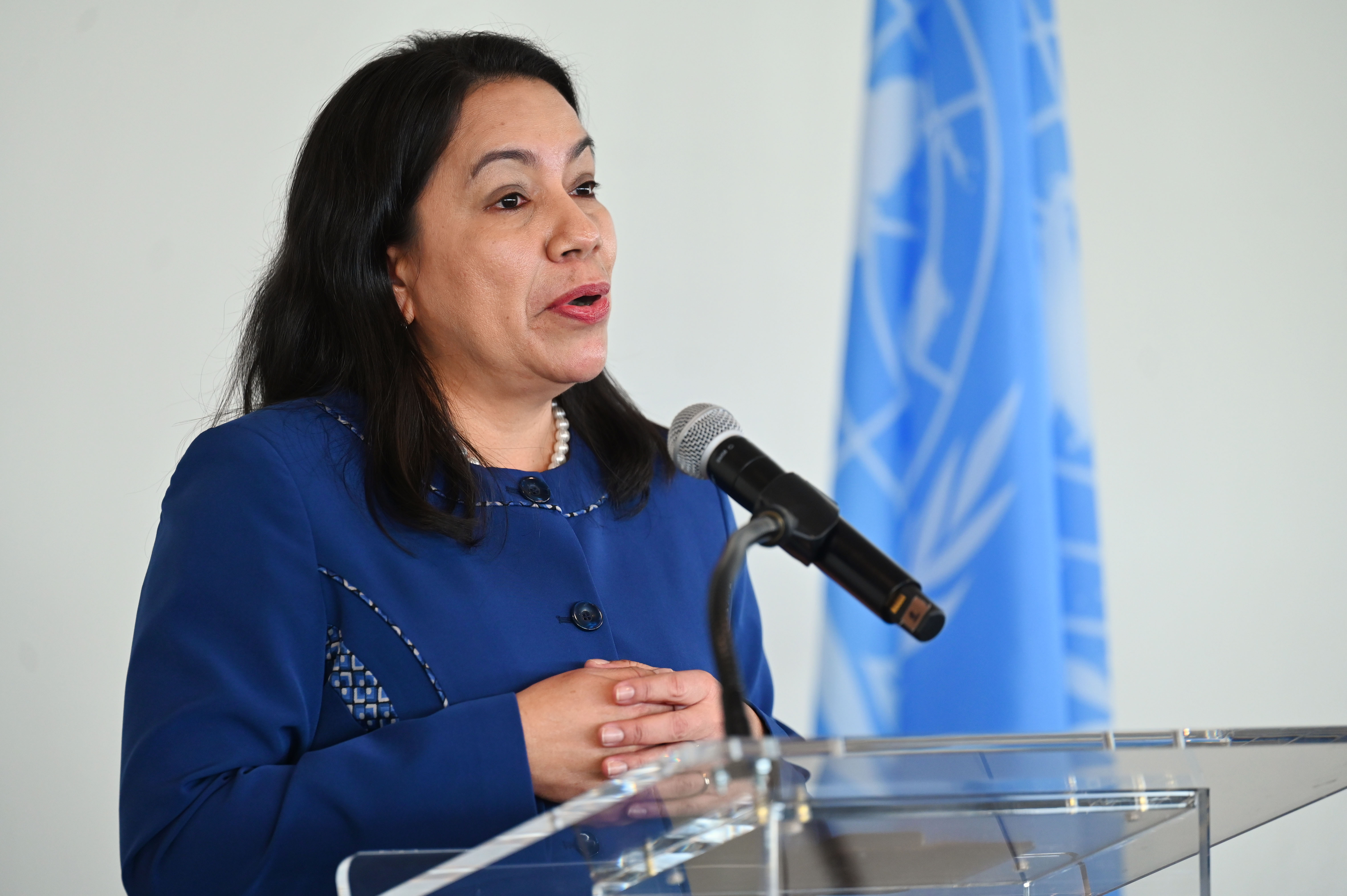 Scenes from lunch reception on the occasion of Guyana’s Presidency of the United Nations Security Council