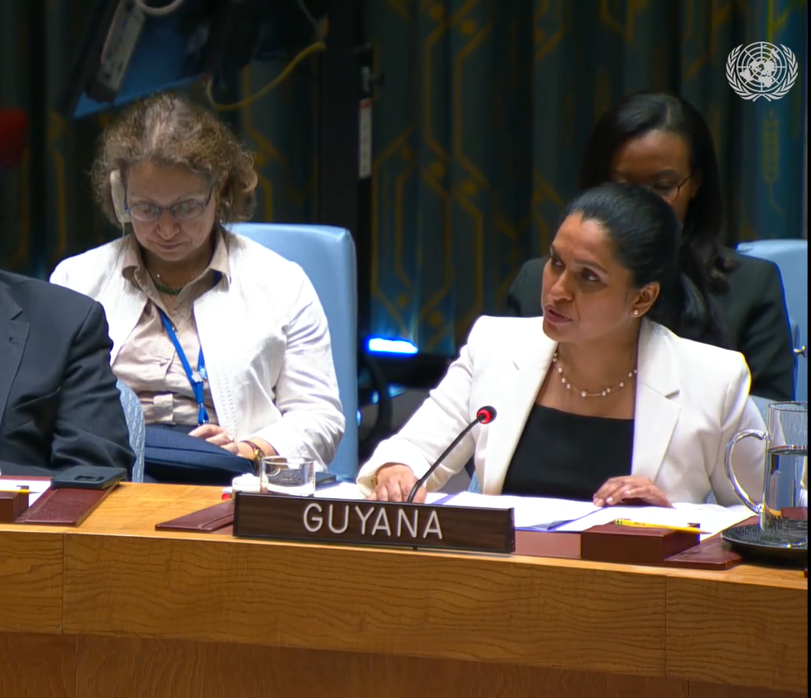 Ambassador Trishala Persaud , Security Council Briefing on the 41st Report of the Prosecutor of the ICC to the UN under Resolution 1593 (Sudan and South Sudan)