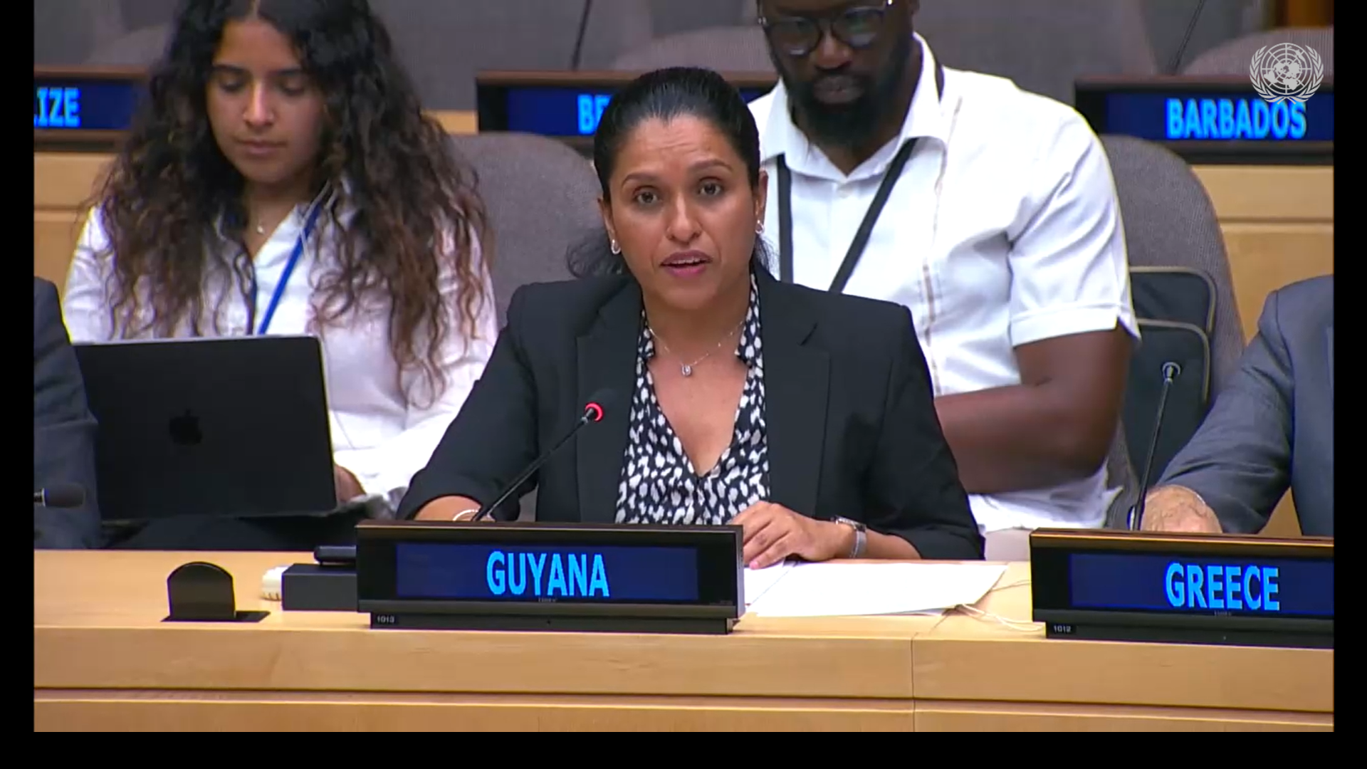 Amb. Trishala Persaud, Security Council Arria Formula Meeting on "The Global Race for Critical Minerals: Addressing Resource-Driven Insecurity in Africa"