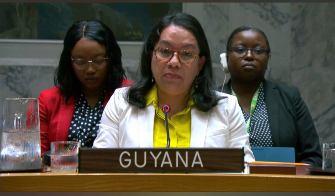 Her Excellency Carolyn Rodrigues-Birkett