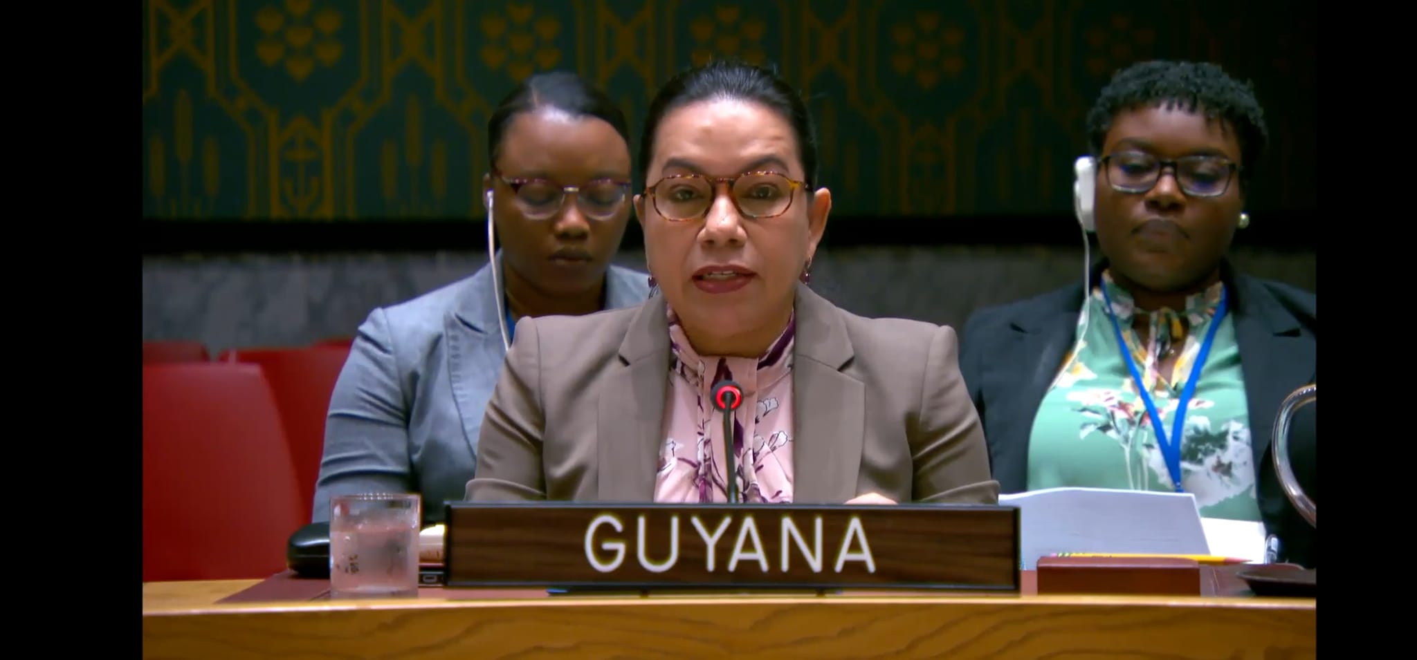 H.E. Carolyn Rodrigues-Birkett