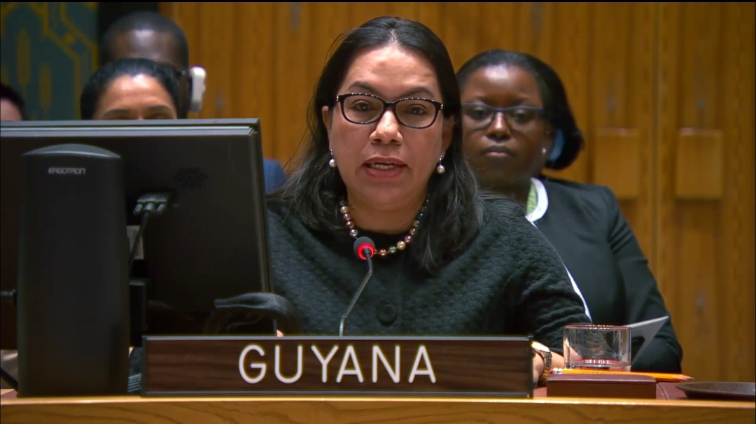 H.E. Carolyn Rodrigues-Birkett