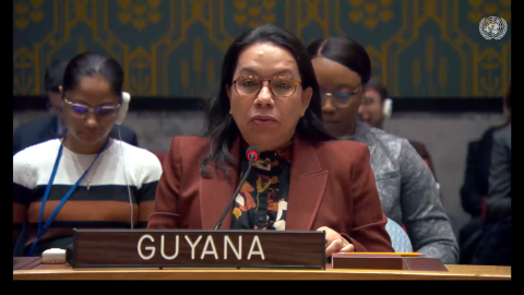 Amb. Carolyn Rodrigues Birkett delivering statement at UNSC Adoption of Red Sea Resolution (Yemen)