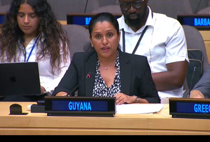 Amb. Trishala Persaud, Security Council Arria Formula Meeting on "The Global Race for Critical Minerals: Addressing Resource-Driven Insecurity in Africa"