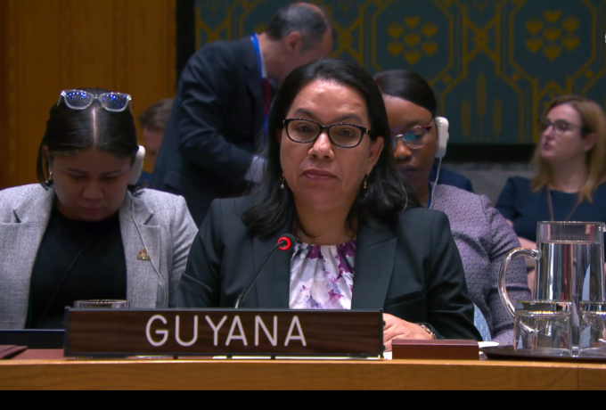 H.E. Carolyn Rodrigues-Birkett